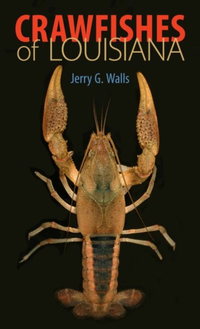 Crawfishes of Louisiana, Paperback / softback Book