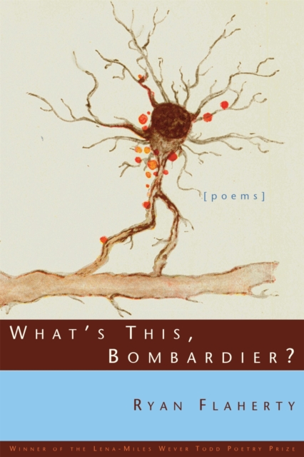 What's This, Bombardier? : Poems, Paperback / softback Book