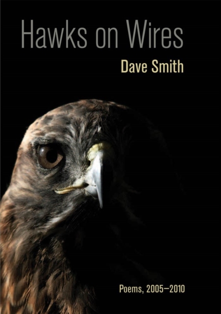 Hawks on Wires : Poems, 2005-2010, Hardback Book