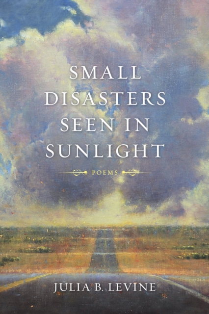 Small Disasters Seen in Sunlight : Poems, PDF eBook