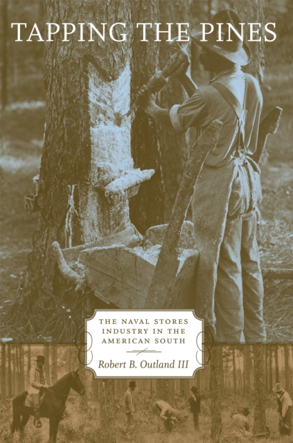 Tapping the Pines : The Naval Stores Industry in the American South, PDF eBook