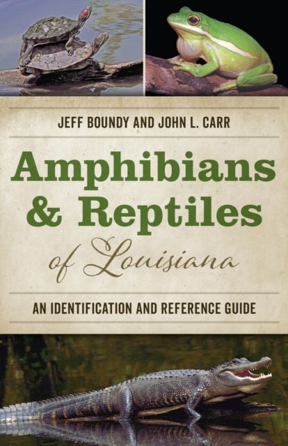 Amphibians and Reptiles of Louisiana : An Identification and Reference Guide, Paperback / softback Book
