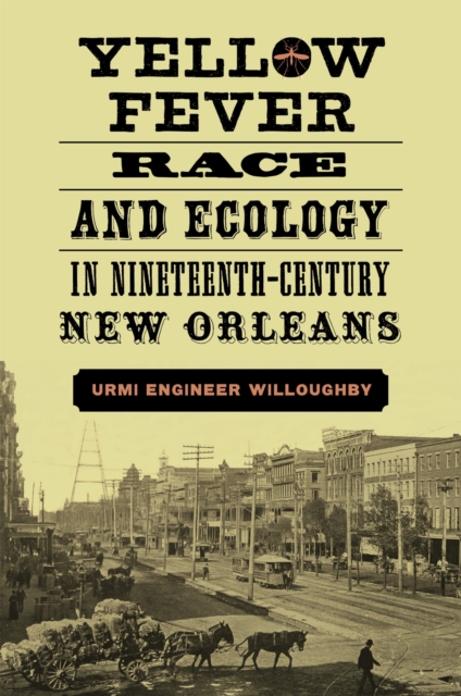 Yellow Fever, Race, and Ecology in Nineteenth-Century New Orleans, Hardback Book