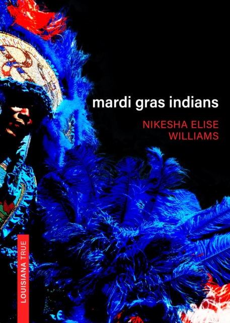 Mardi Gras Indians, PDF eBook