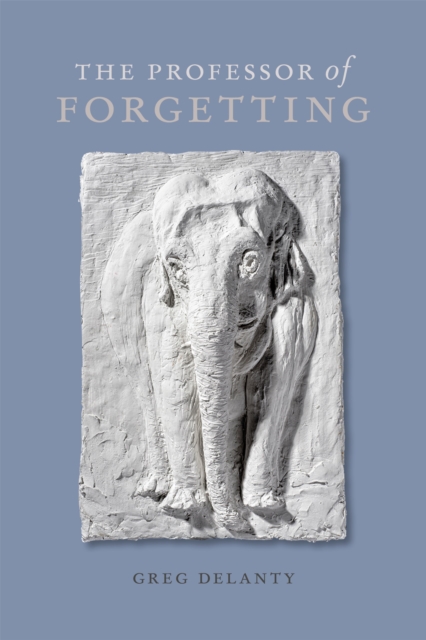 The Professor of Forgetting, PDF eBook