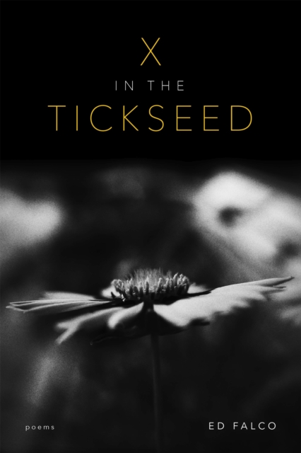X in the Tickseed : Poems, PDF eBook