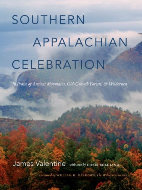 Southern Appalachian Celebration : In Praise of Ancient Mountains, Old-Growth Forests, and Wilderness, Hardback Book