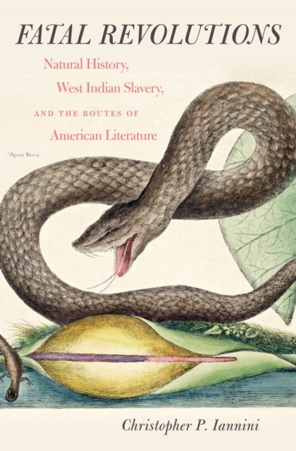 Fatal Revolutions : Natural History, West Indian Slavery, and the Routes of American Literature, EPUB eBook