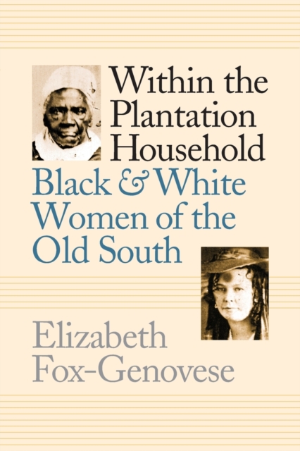 Within the Plantation Household : Black and White Women of the Old South, Paperback / softback Book