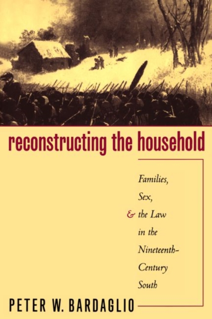 Reconstructing the Household : Families, Sex, and the Law in the Nineteenth-Century South, Paperback / softback Book