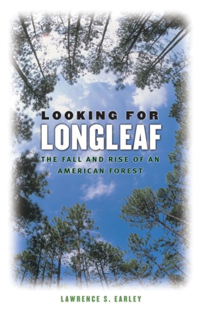 Looking for Longleaf : The Fall and Rise of an American Forest, Paperback / softback Book