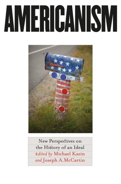 Americanism : New Perspectives on the History of an Ideal, EPUB eBook
