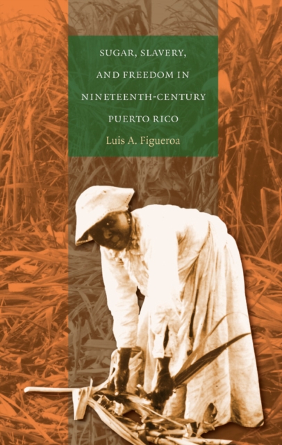 Sugar, Slavery, and Freedom in Nineteenth-Century Puerto Rico, EPUB eBook