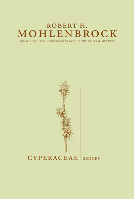 Cyperaceae : Sedges, Hardback Book