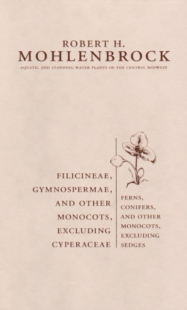 Filicineae, Gymnospermae and Other Monocots Excluding Cyperaceae : Ferns, Conifers, and Other Monocots Excluding Sedges, Hardback Book