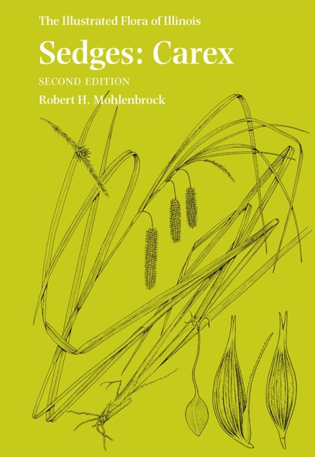 Sedges : Carex, Paperback / softback Book