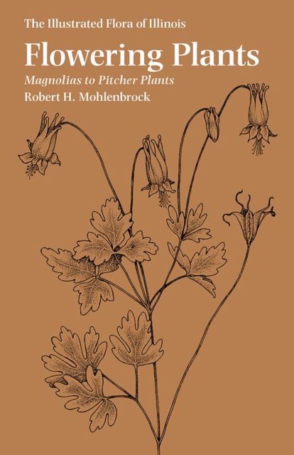 Flowering Plants: Magnolias to Pitcher Plants, Paperback / softback Book