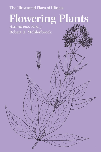 Flowering Plants: Asteraceae, Part 3, Paperback / softback Book
