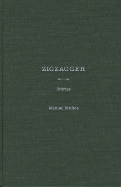 Zigzagger : Stories, Hardback Book