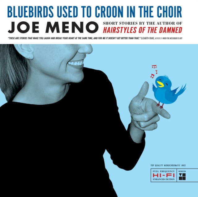 Bluebirds Used to Croon in the Choir, Paperback / softback Book