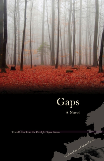 Gaps : A Novel, Paperback / softback Book