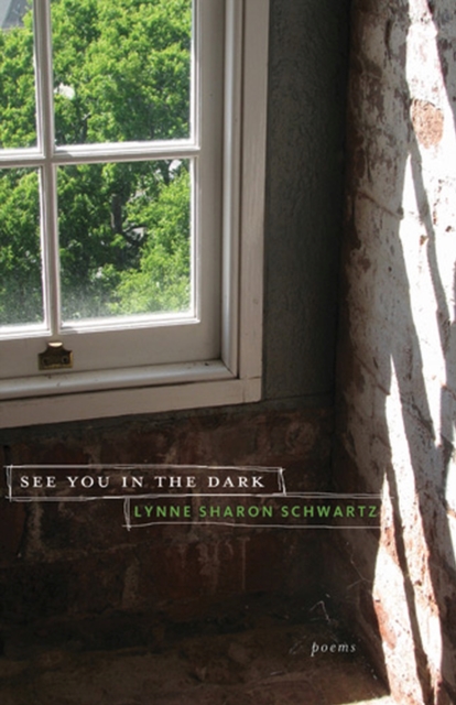 See You in the Dark : Poems, Paperback / softback Book