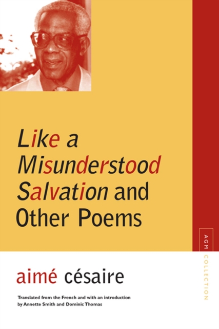 Like a Misunderstood Salvation and Other Poems, Paperback / softback Book