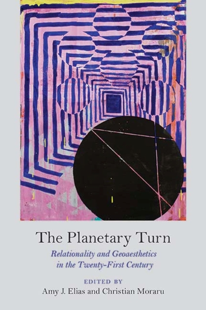 The Planetary Turn : Relationality and Geoaesthetics in the Twenty-First Century, Paperback / softback Book