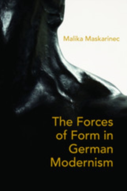 The Forces of Form in German Modernism, PDF eBook