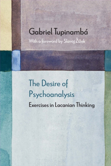 The Desire of Psychoanalysis : Exercises in Lacanian Thinking, Paperback / softback Book