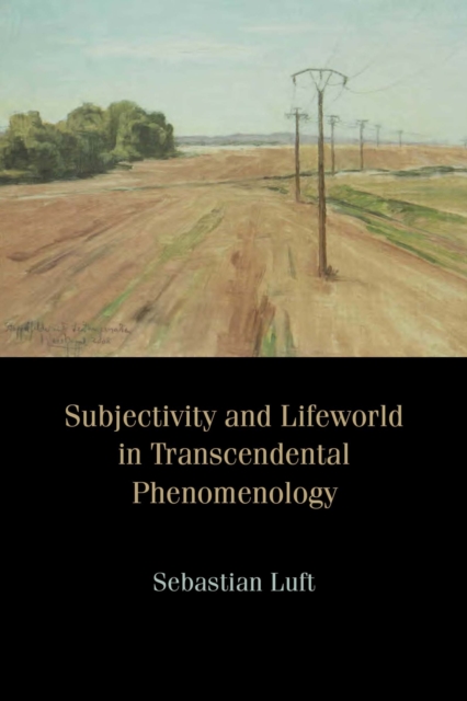 Subjectivity and Lifeworld in Transcendental Phenomenology, Paperback / softback Book