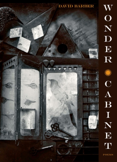 Wonder Cabinet : Poems, Paperback / softback Book
