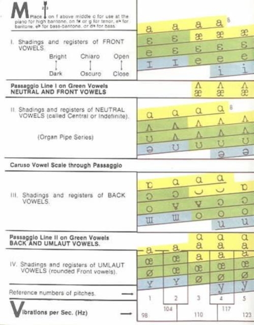 Coffins Vowel Chart, Fold-out book or chart Book