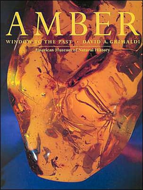 Amber : Window to the Past, Paperback Book