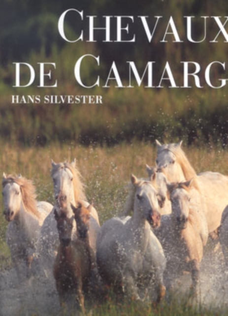 Horses of the Camargue, Hardback Book