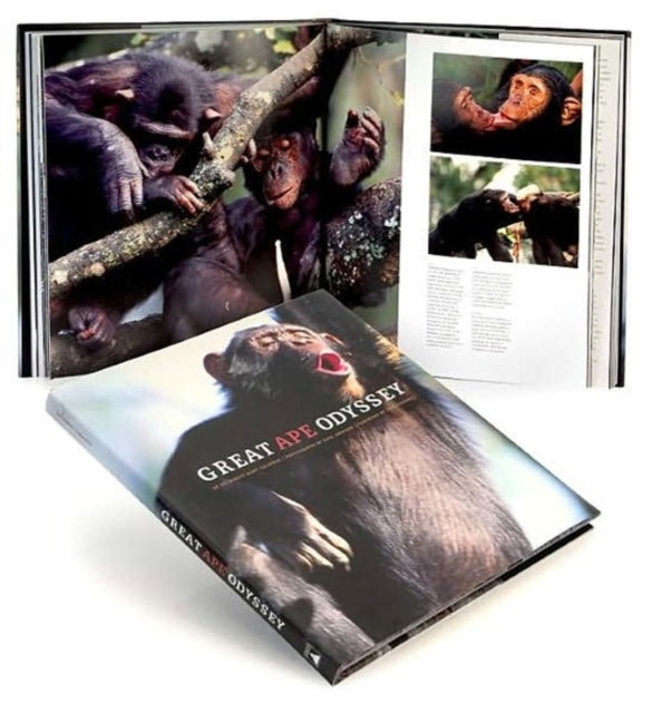 Great Ape Odyssey, Hardback Book
