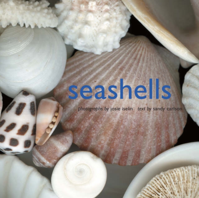 Seashells, Hardback Book