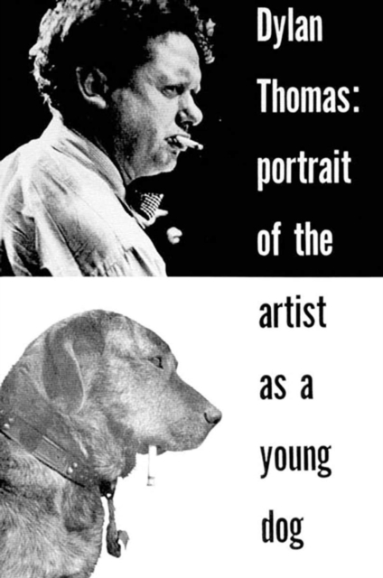 Portrait of the Artist as a Young Dog : Stories, EPUB eBook