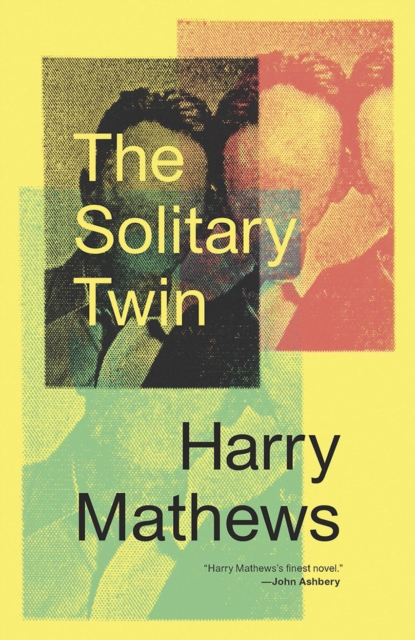 The Solitary Twin, Paperback Book
