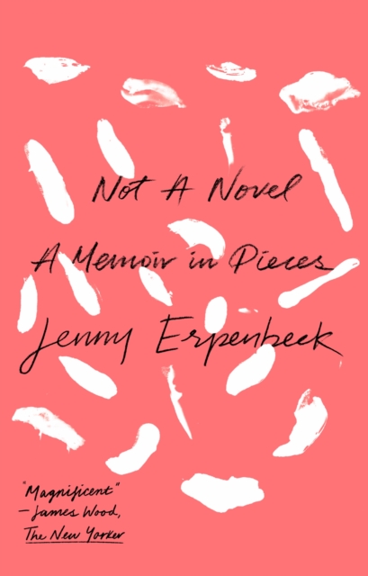 Not a Novel : A Memoir in Pieces, EPUB eBook