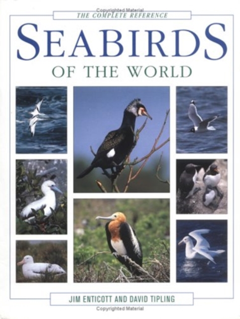 Seabirds of the World : The Complete Reference, Hardback Book