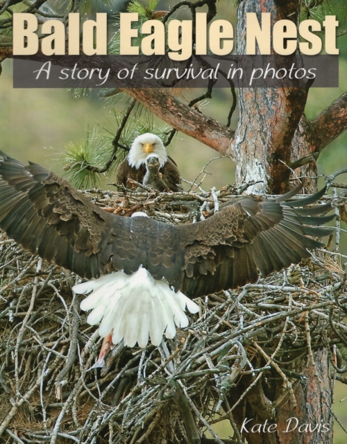 Bald Eagle Nest : A Story of Survival in Photos, Paperback / softback Book