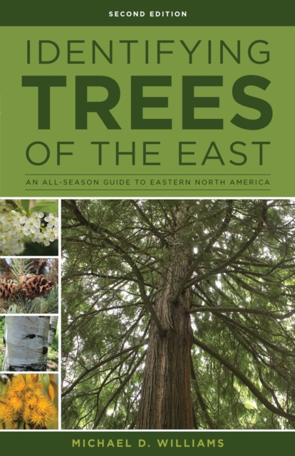 Identifying Trees of the East : An All-Season Guide to Eastern North America, Paperback / softback Book