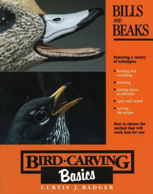 Bird Carving Basics : Bills and Beaks v.4, Paperback / softback Book