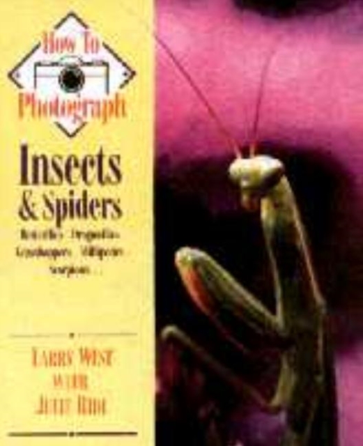 How to Photograph Insects and Spiders, Paperback / softback Book