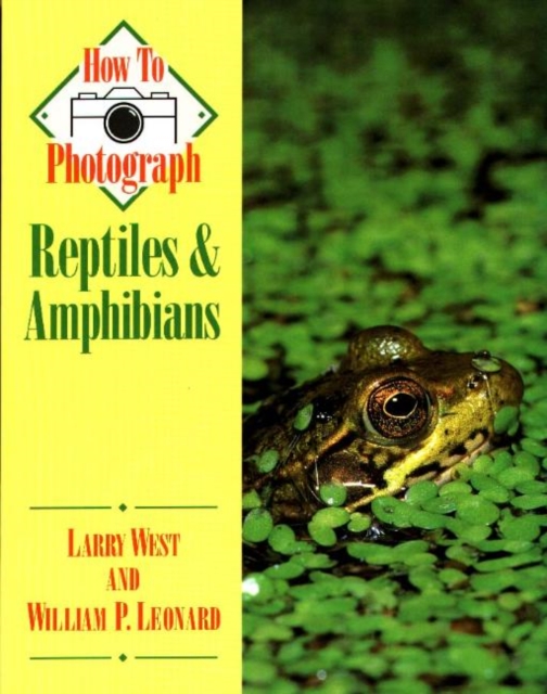 How to Photograph Reptiles and Amphibians, Paperback / softback Book