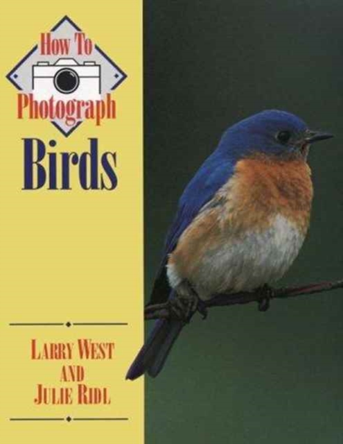 How to Photograph Birds, Paperback / softback Book