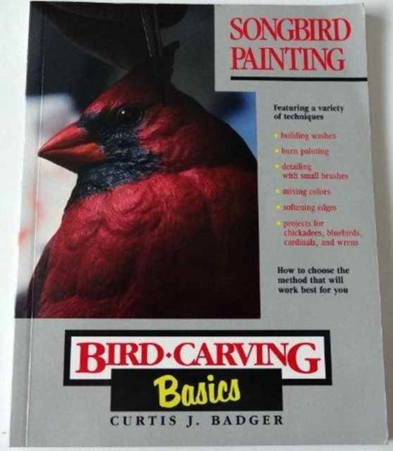 Bird Carving Basics : Songbird Painting v. 10, Paperback / softback Book