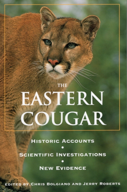 Eastern Cougar : Historic Accounts, Scientific Investigations, New Evidence, Paperback / softback Book