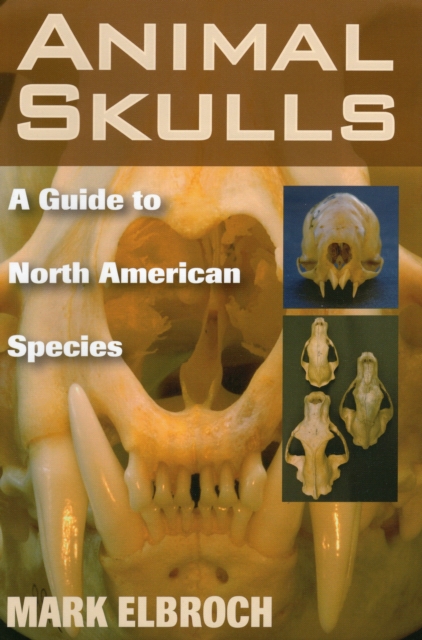 Animal Skulls : A Guide to North American Species, Paperback / softback Book